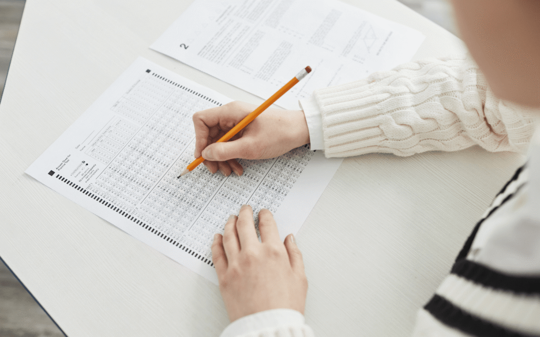 DISC Personality Profiling  – The role of personality tests in the workplace