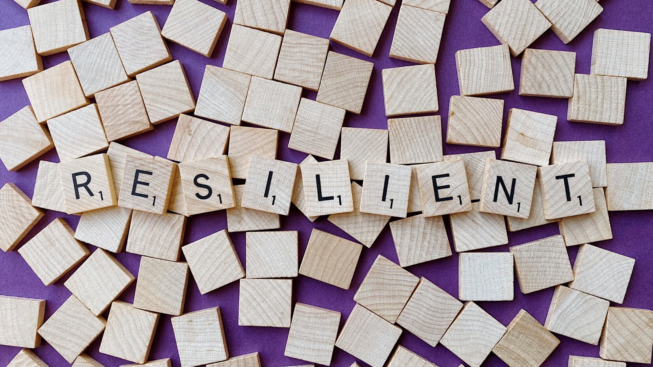 resilient job search