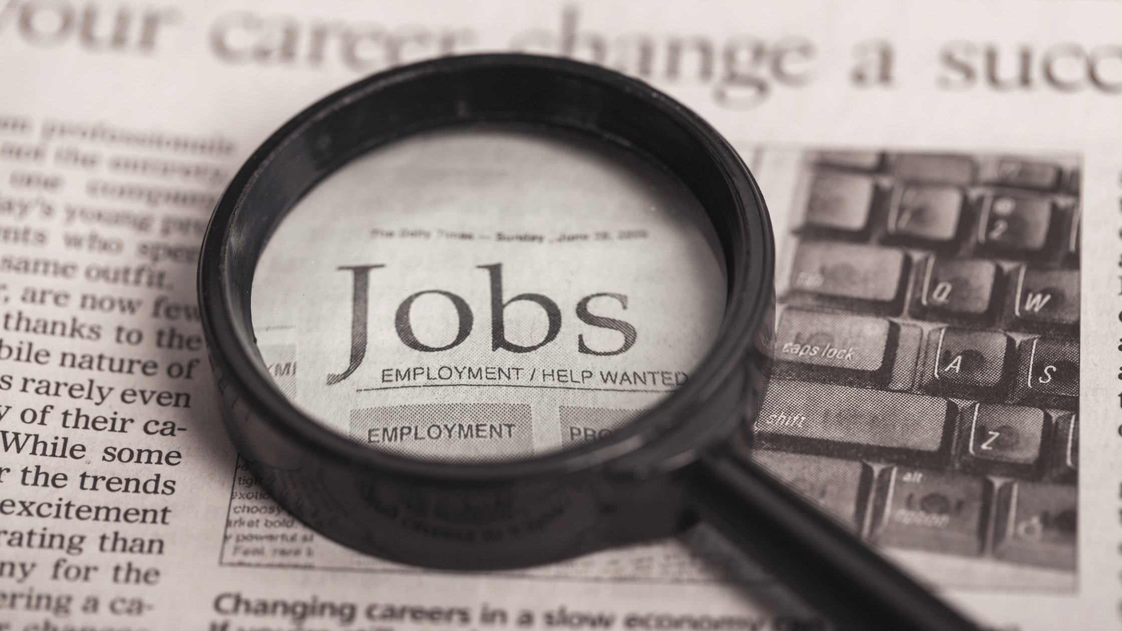 job search