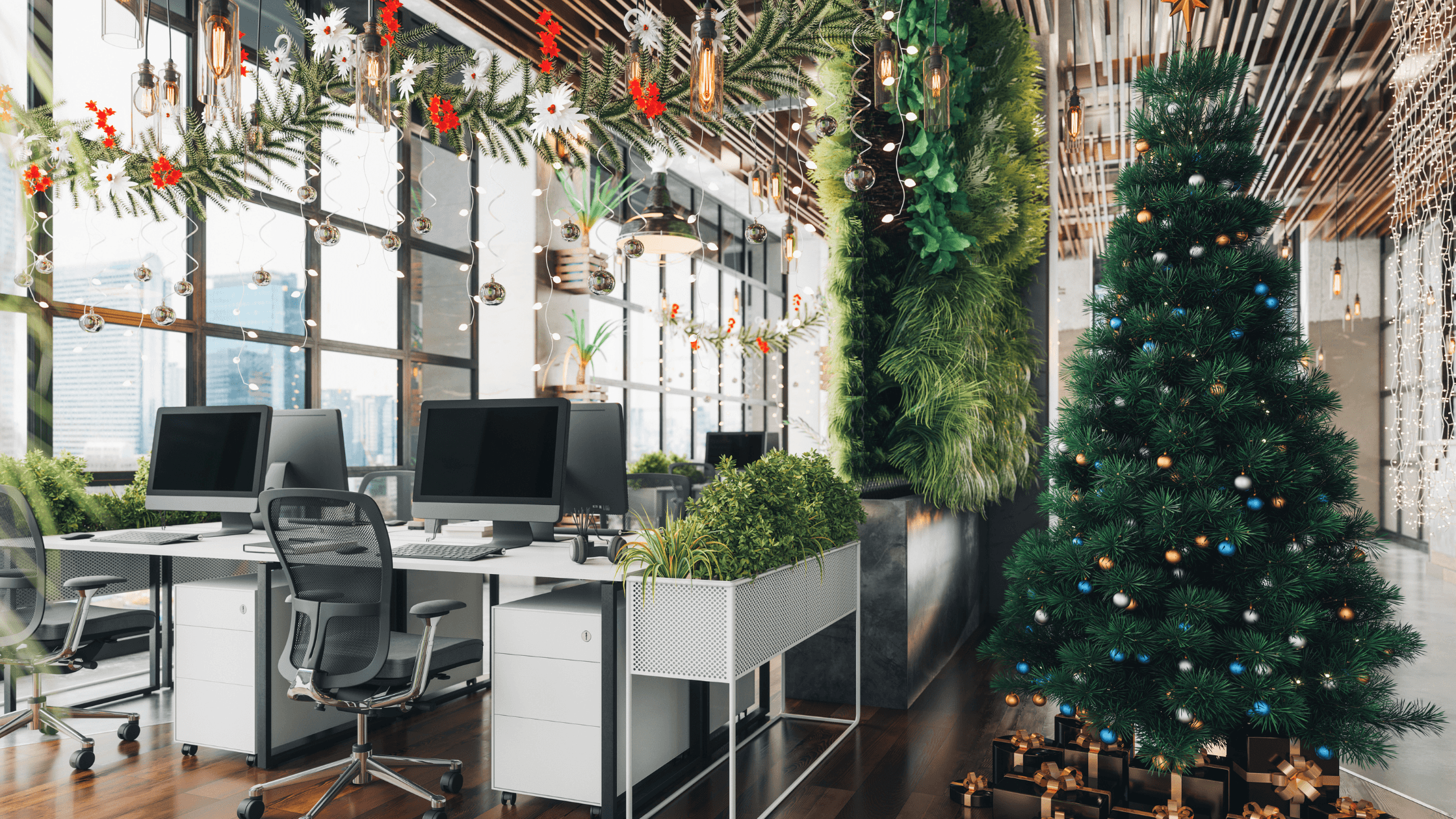 December career change